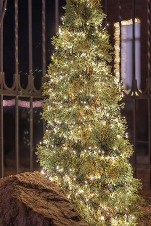 Christmas tree decorated with garlands in the backyard of the house.の写真素材