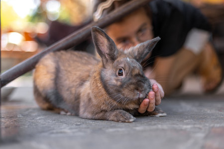 A girl plays with a domestic rabbit on the street. Pet concept.の写真素材