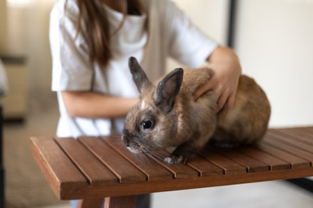 A pretty little girl is playing with a pet rabbit. Pets concept.の写真素材