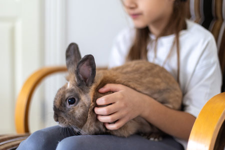 A pretty little girl is playing with a pet rabbit. Pets concept.の写真素材