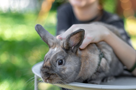 A girl plays with a domestic rabbit on the street. Pet concept.の写真素材