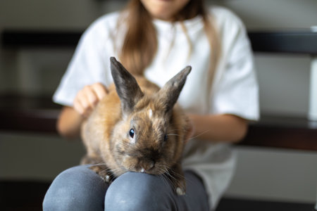 A pretty little girl is playing with a pet rabbit. Pets concept.の写真素材