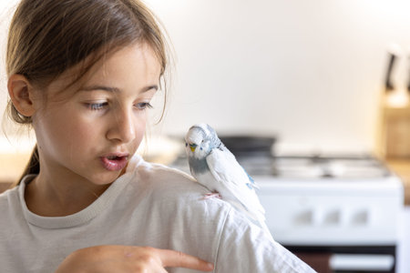 A beautiful little girl is playing with a white and blue budgie. Pets concept.