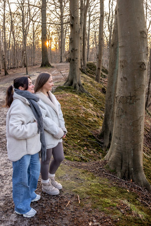 Two women walking in the forest. Forest. Nature. Outdoor recreation.の写真素材