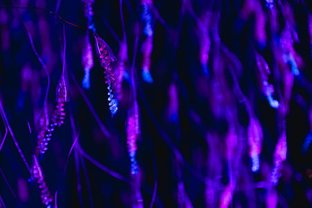 Neon depth glowing in darkness. Abstract purple light.の写真素材