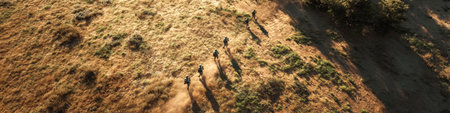 Soldiers run down slope in warm drone shot. Fast desert patrol.の素材