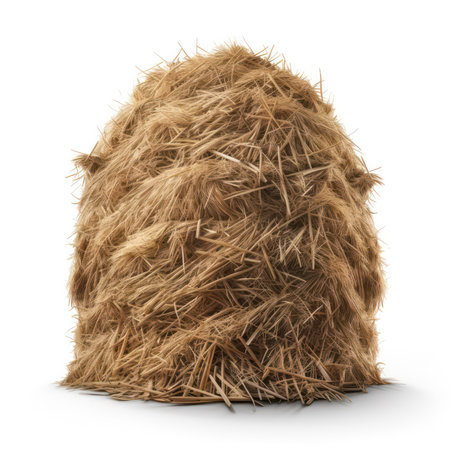 Straw bale isolated on white background. 3D illustration.の素材