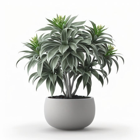 Houseplant in pot isolated on white background. 3D illustration.の素材