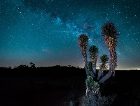 milky wayの写真素材