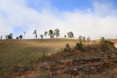 Warm landscape in Chiapasの写真素材