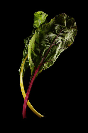 isolated flesh green vegetable leaf on pure black backgroundの写真素材