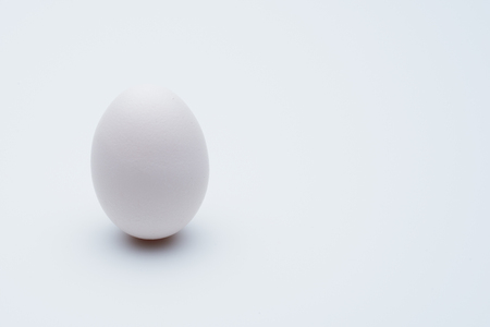 egg on white backgroundの写真素材