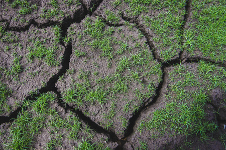 Earth ground