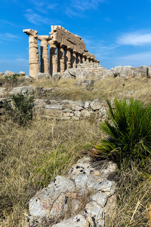 The ruins of Selinunte, Sicily are among the most striking archaeological sites in the Mediterranean and a supreme example of the fusion of Phoenician and Greek culture.の写真素材