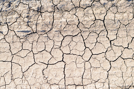 Cracks in the ground dried hot day.