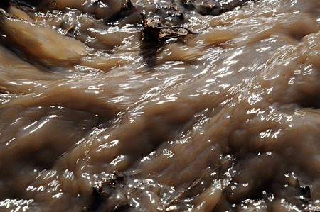 Stormy spring stream sparkles in the sun.の写真素材