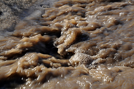 Stormy spring stream sparkles in the sun.の写真素材