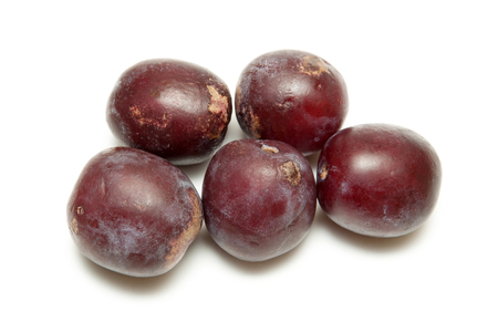 Fruits plums on a white background.の写真素材