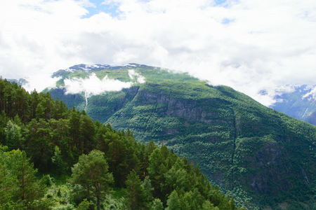 multiplane landscape view of the coniferous forest and green hill far awayの写真素材