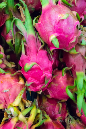 Close-up Dragon Fruit (Hylocereus undatus, Pitahaya), agricultural product in Thailandの写真素材