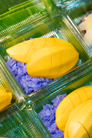 Mango and  purple sticky rice (color source of butterfly pea flower) in plastic containerの写真素材