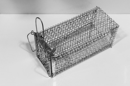 Empty mouse trap on white backgroundの写真素材