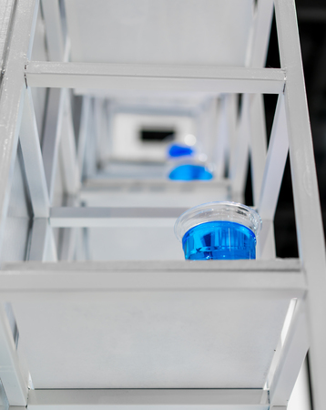 Blue water inside clear plastic cup on white metal shelf structure for decoration. Installation art concept.の写真素材