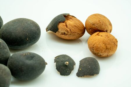 Dried Black Dialium with shell and half open isolated on white background. Traditional tropical...