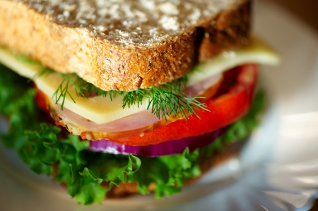 Close up of sandwich. Shalow DOF. Selective focus.の写真素材