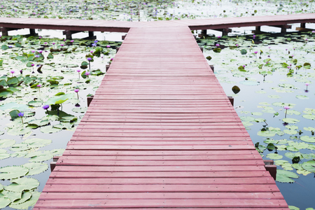 red wooden bridge in lotus lake and intersectionの写真素材