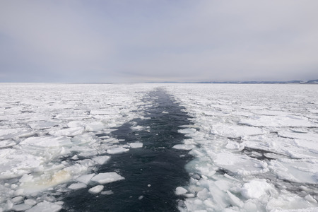 traces in  ice sheetの写真素材
