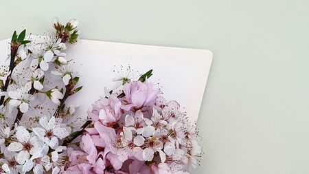 Cherry blossom spring flowers deskの写真素材