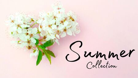 Summer collection fashion season styleの写真素材
