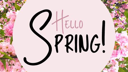 Spring season springtime hello textの写真素材