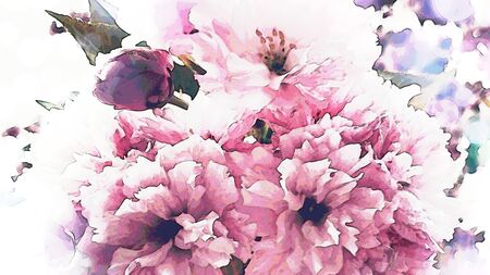 Beautiful pink flowers cherry blossom beautyの写真素材