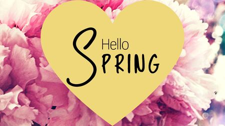 Spring season springtime helloの写真素材