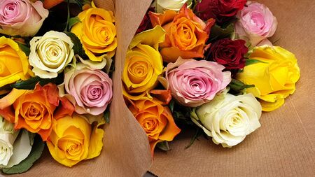 bunches of multicolors roses flowersの写真素材