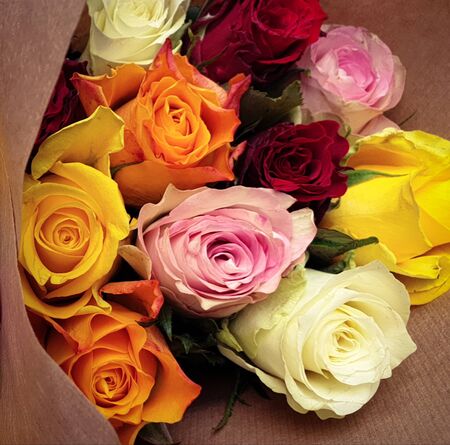 bunches of multicolors roses flowersの写真素材