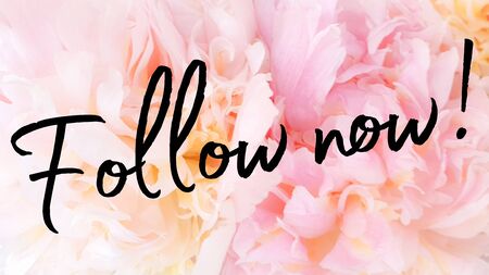 Follow social media text blogの写真素材