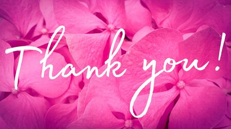 Thank you text appreciation thanksの写真素材