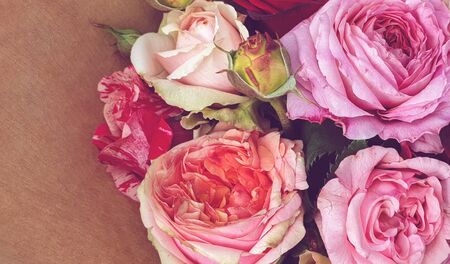 Pink vintage roses beautiful rose backgroundの写真素材