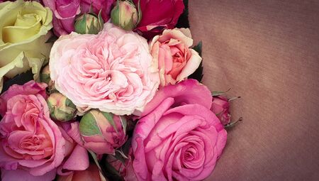 Pink vintage roses beautiful rose backgroundの写真素材