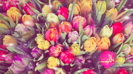 Tulips background. Beautiful bouquet of colorful tulips.の写真素材