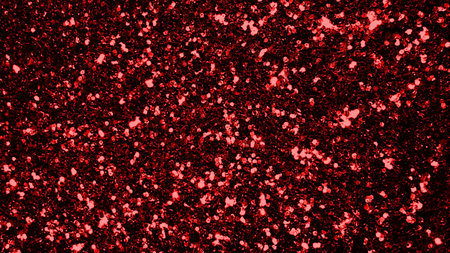 Red abstract background. Texture of red paint on a black background.の写真素材