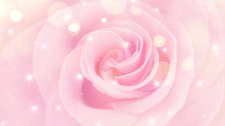 Pink rose background with bokeh lights and stars. Valentine's day background.の写真素材