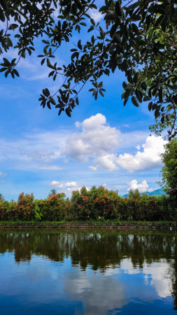 Scenic view of a lake surrounded with forest. Sunny summer landscape with blue sky and white clouds and reflection in water.の写真素材