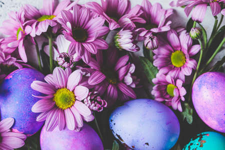 Easter concept. Flowers background with painted purple and pink eggs, close-up.の写真素材