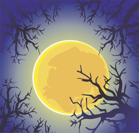 moon night forest のイラスト素材