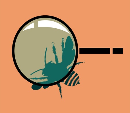 Magnifying Glass and bee のイラスト素材