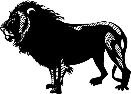 Lionのイラスト素材